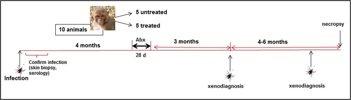 Fig 1