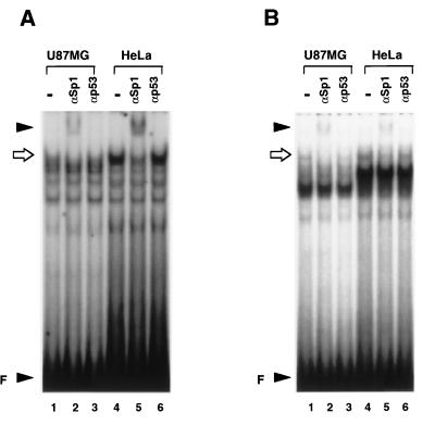 FIG. 6