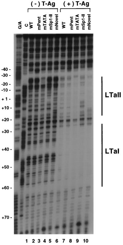 FIG. 8