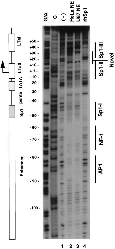 FIG. 4