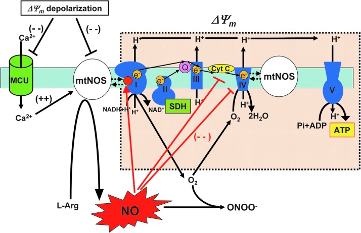 FIG. 3.