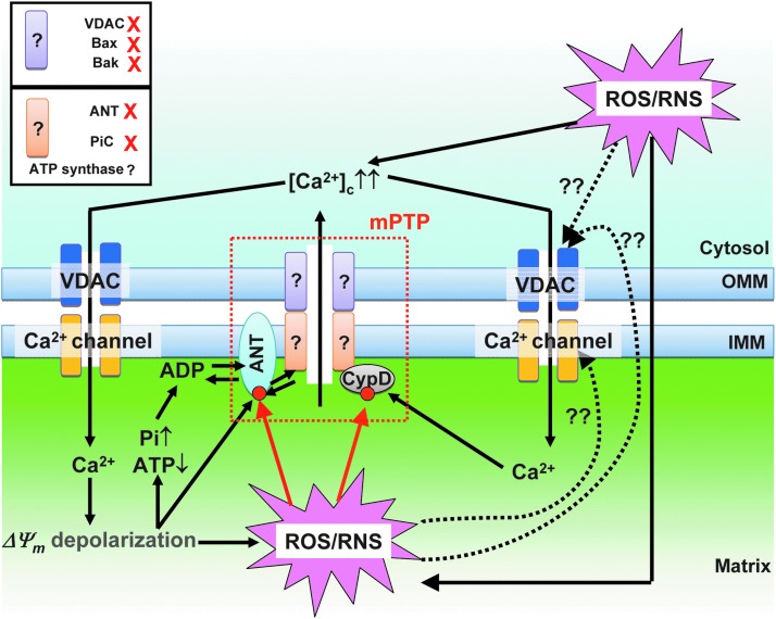 FIG. 6.