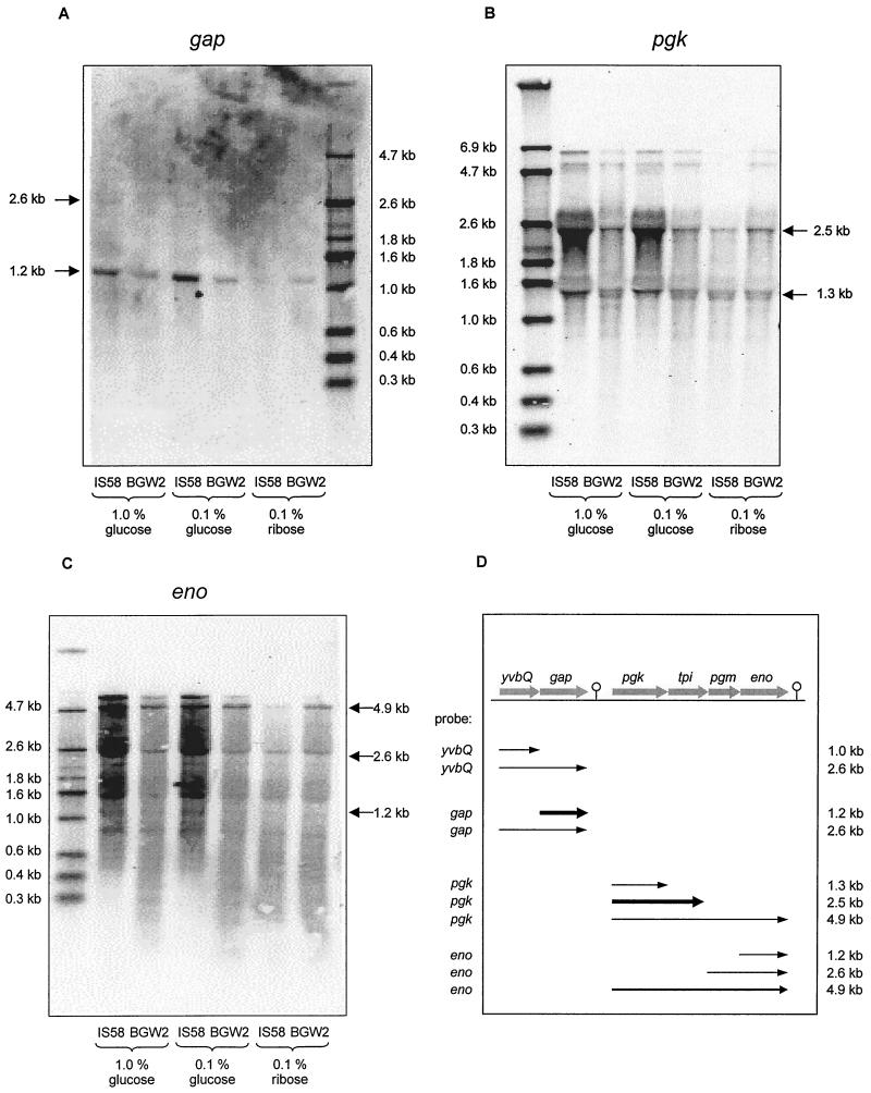 FIG. 3