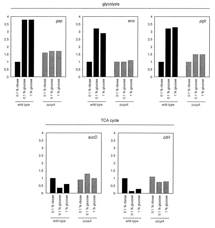 FIG. 4