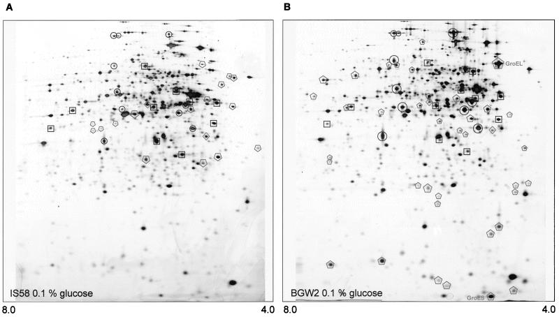 FIG. 6