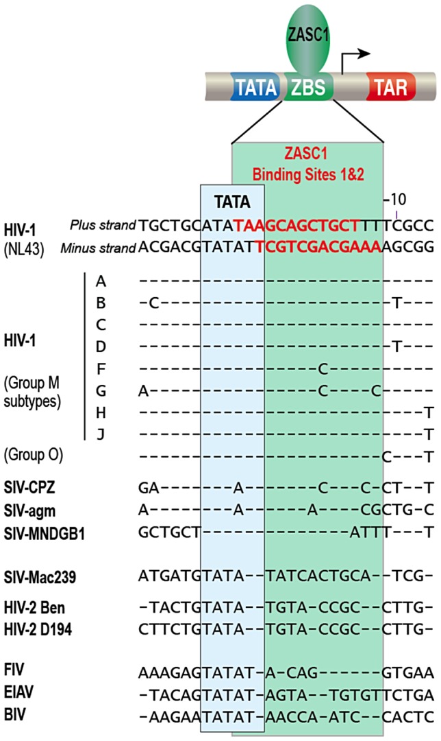 Figure 9