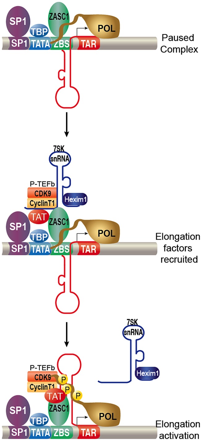 Figure 10