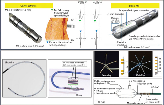 Figure 2: