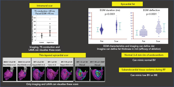 Figure 4: