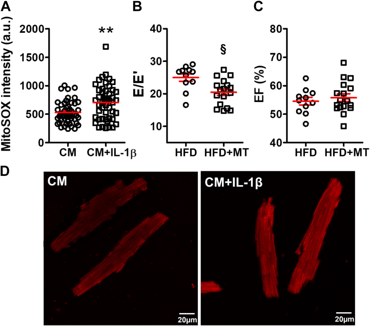 Figure 6