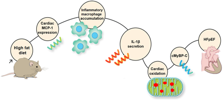 Figure 7