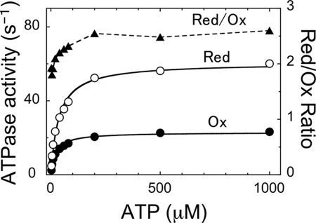 FIGURE 10.