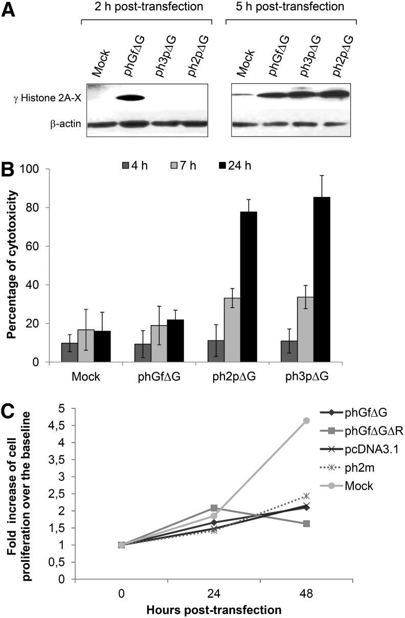 FIG. 5.