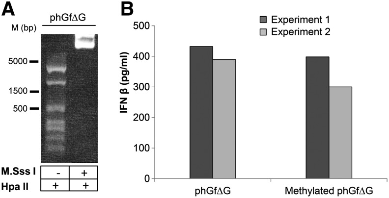 FIG. 7.