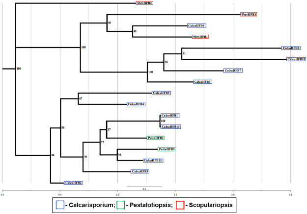 Figure 12