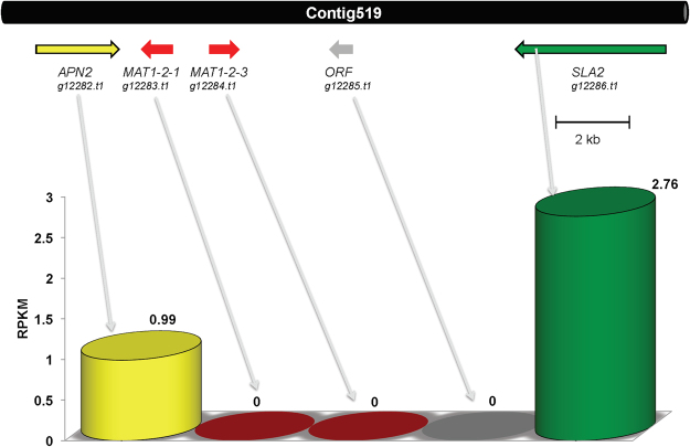 Figure 9