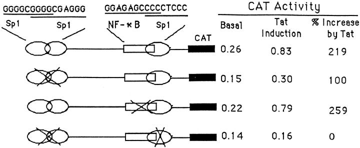 Figure 10.