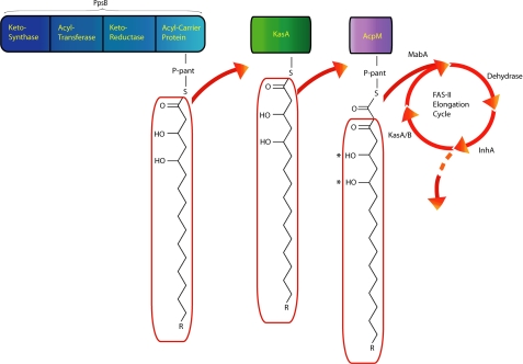 FIGURE 7.