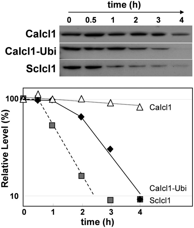 FIG 8 