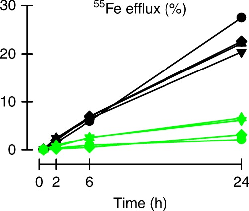 Fig. 4