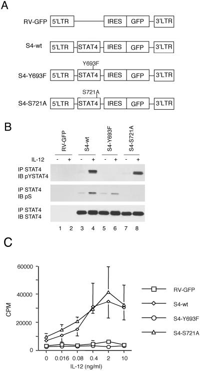 Fig 2.