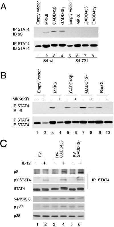 Fig 1.