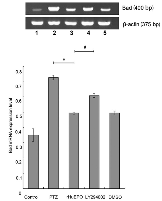 Figure 5.