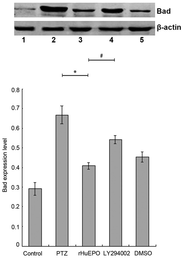 Figure 6.