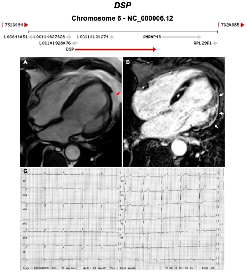 Figure 6