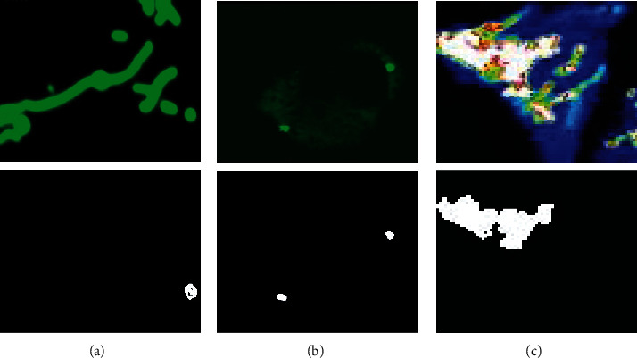 Figure 11