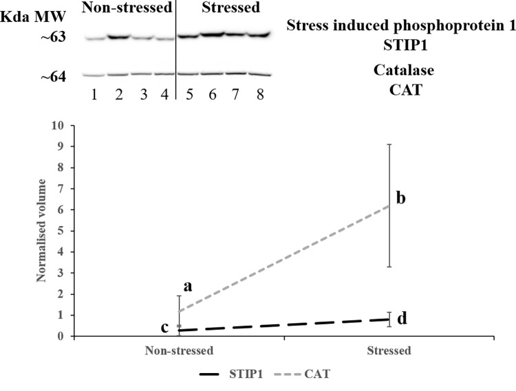 Fig 4