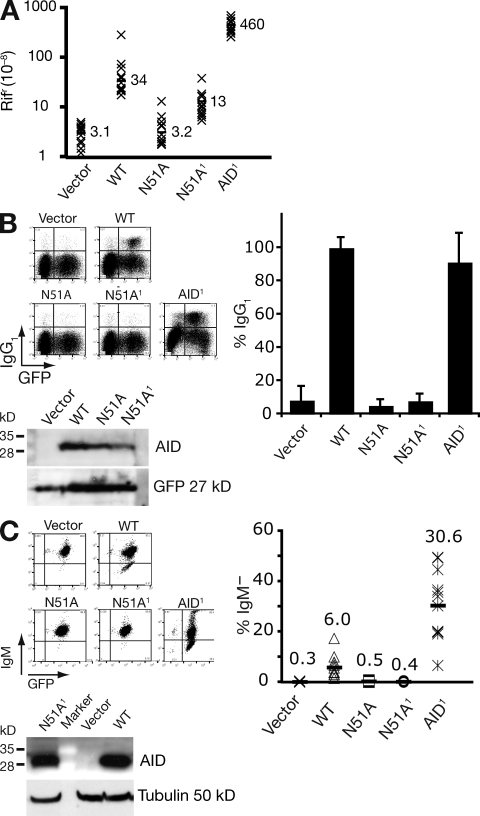 Figure 6.