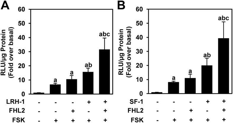 Fig. 8.