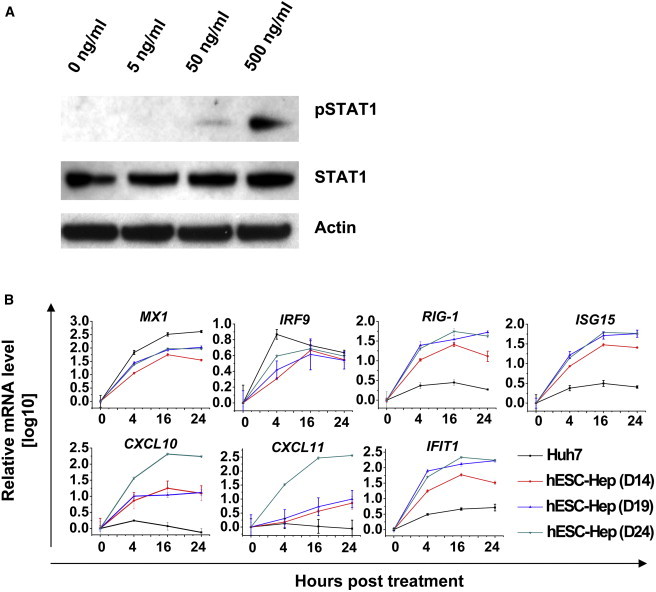 Figure 4