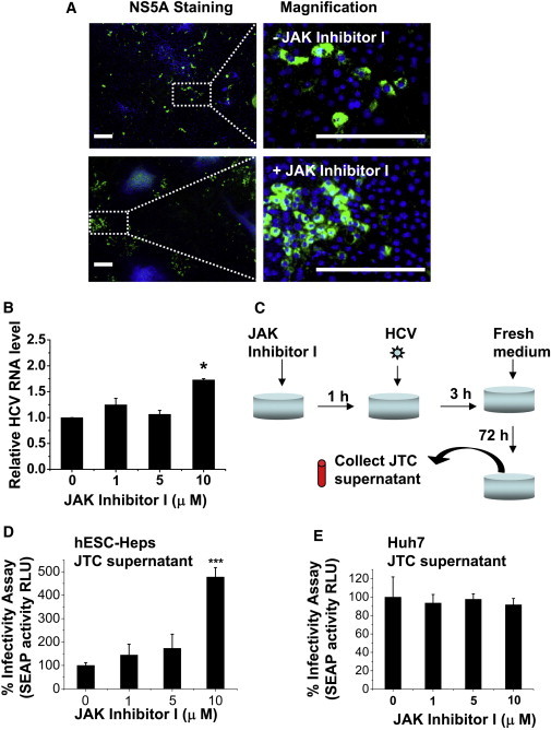 Figure 6