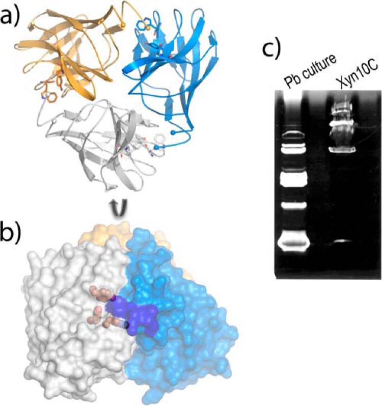 FIGURE 4.