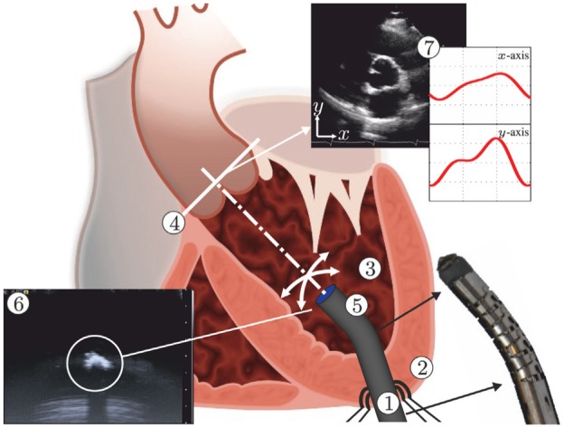 Fig. 1.