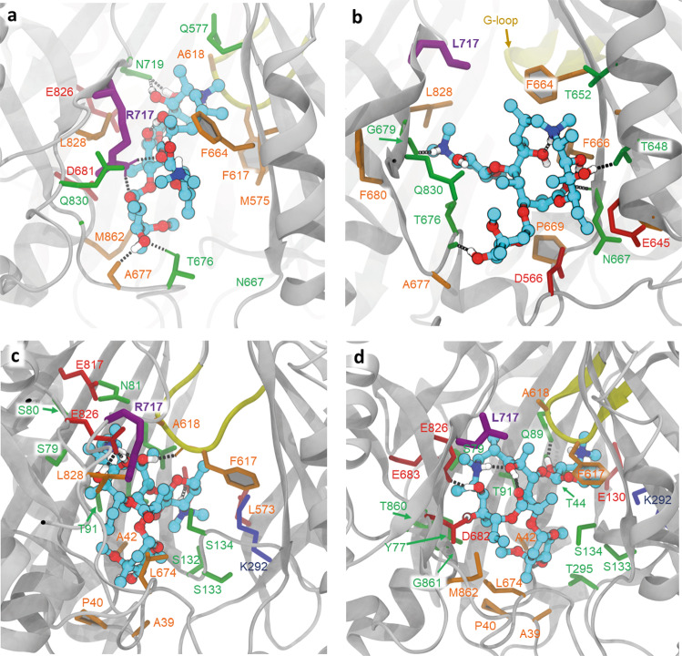 Fig. 4