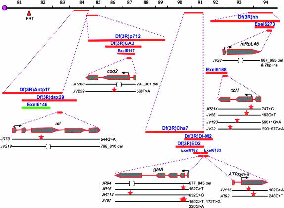 Figure 2.—