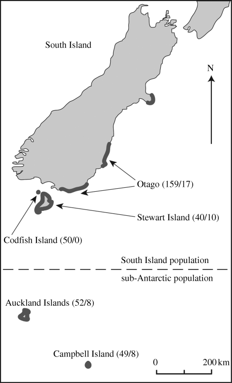 Figure 1.