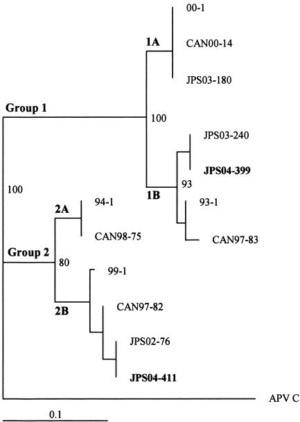 FIG. 1.