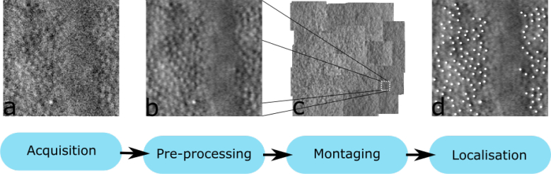 Fig. 1