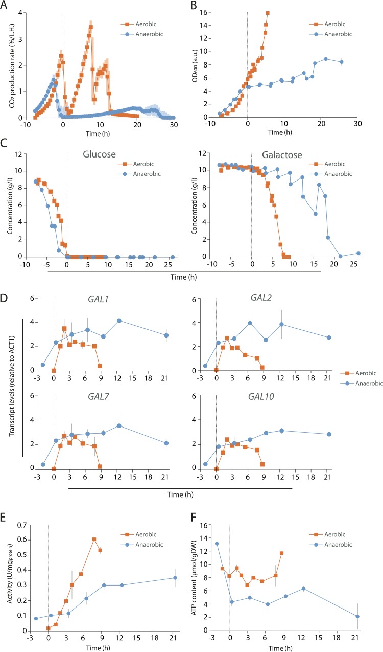 FIG 4