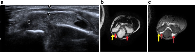 Fig. 9