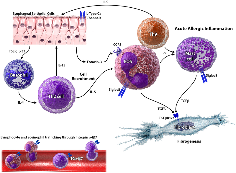 FIGURE 1: