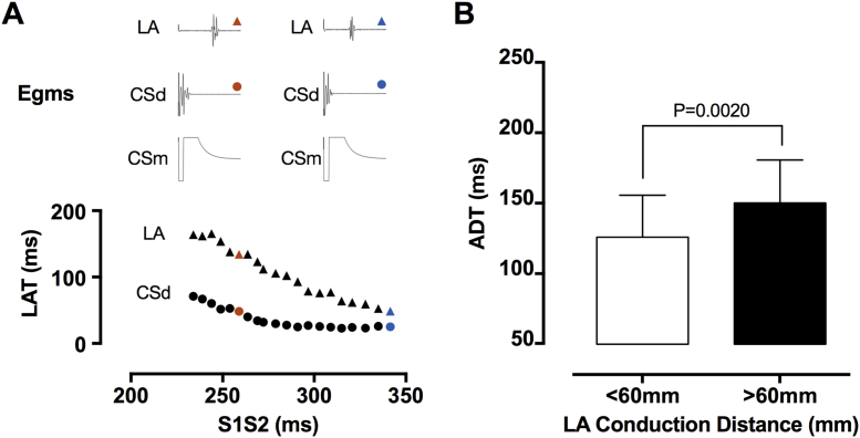 Figure 7