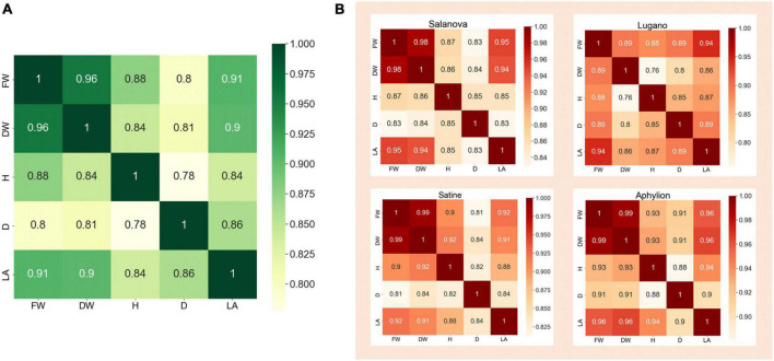 FIGURE 3