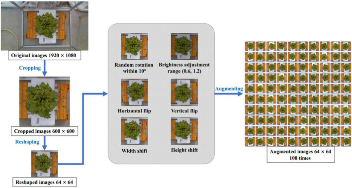 FIGURE 2