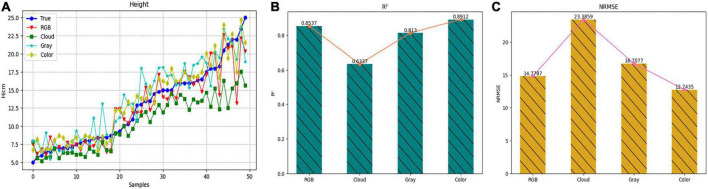 FIGURE 11