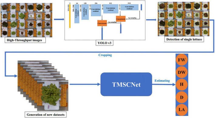 FIGURE 13